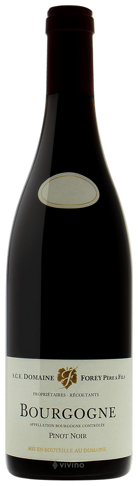 2020 Domaine Forey Pere et Fils Bourgogne Rouge